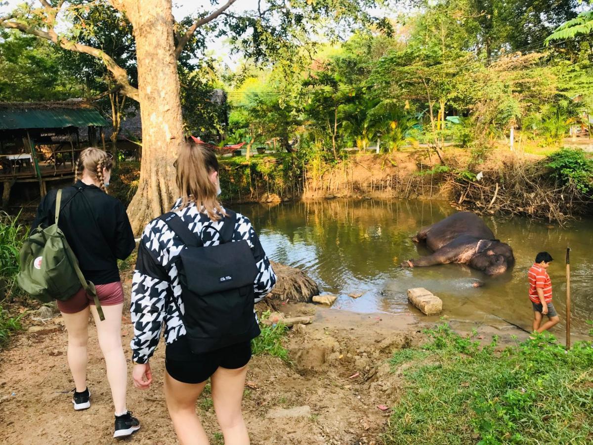 Dambulla Tourist Resort Exteriör bild